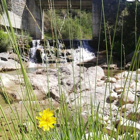 Apartament Casa Cotefablo Aloj Sorrosal Gavin Biescas Zewnętrze zdjęcie