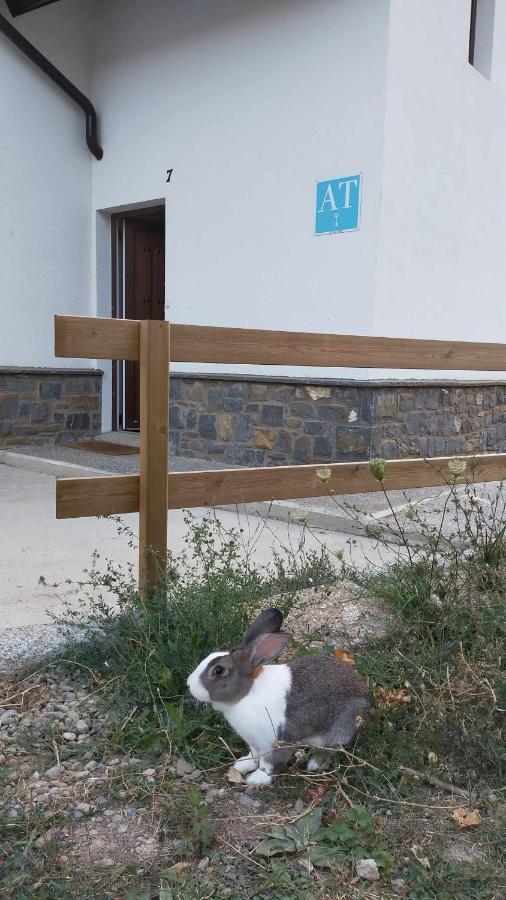 Apartament Casa Cotefablo Aloj Sorrosal Gavin Biescas Zewnętrze zdjęcie